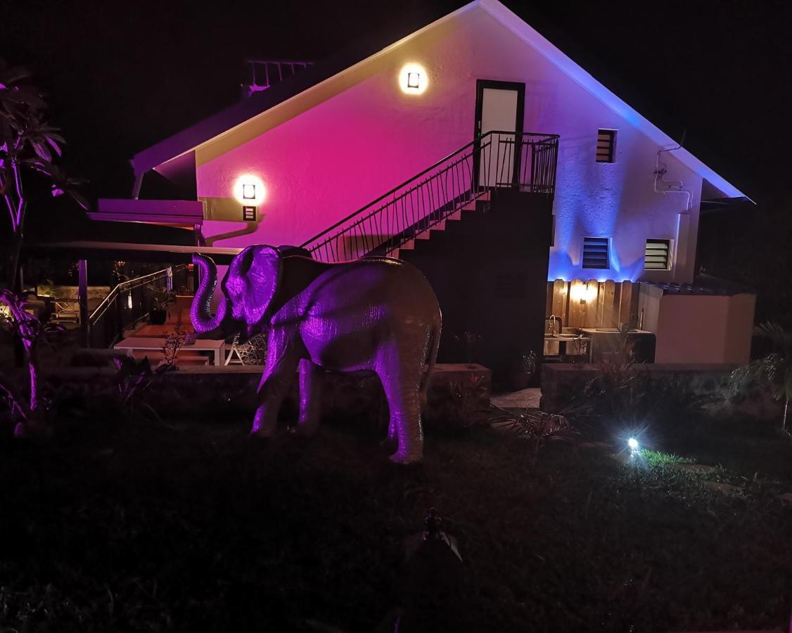 Hostal 170 Room 15 Service Appartement Le Tampon Zewnętrze zdjęcie